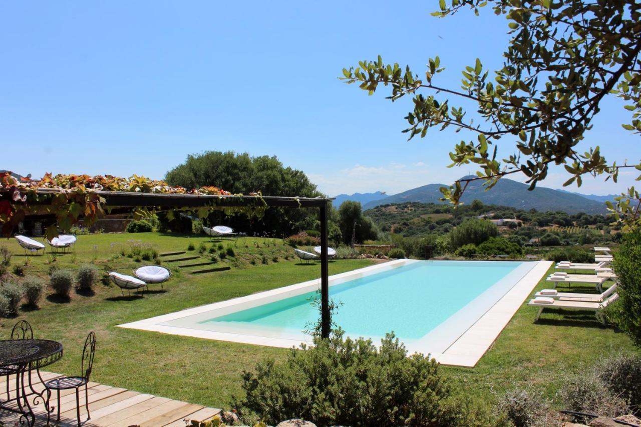 Albero Capovolto Bed & Breakfast Golfo Aranci Bagian luar foto