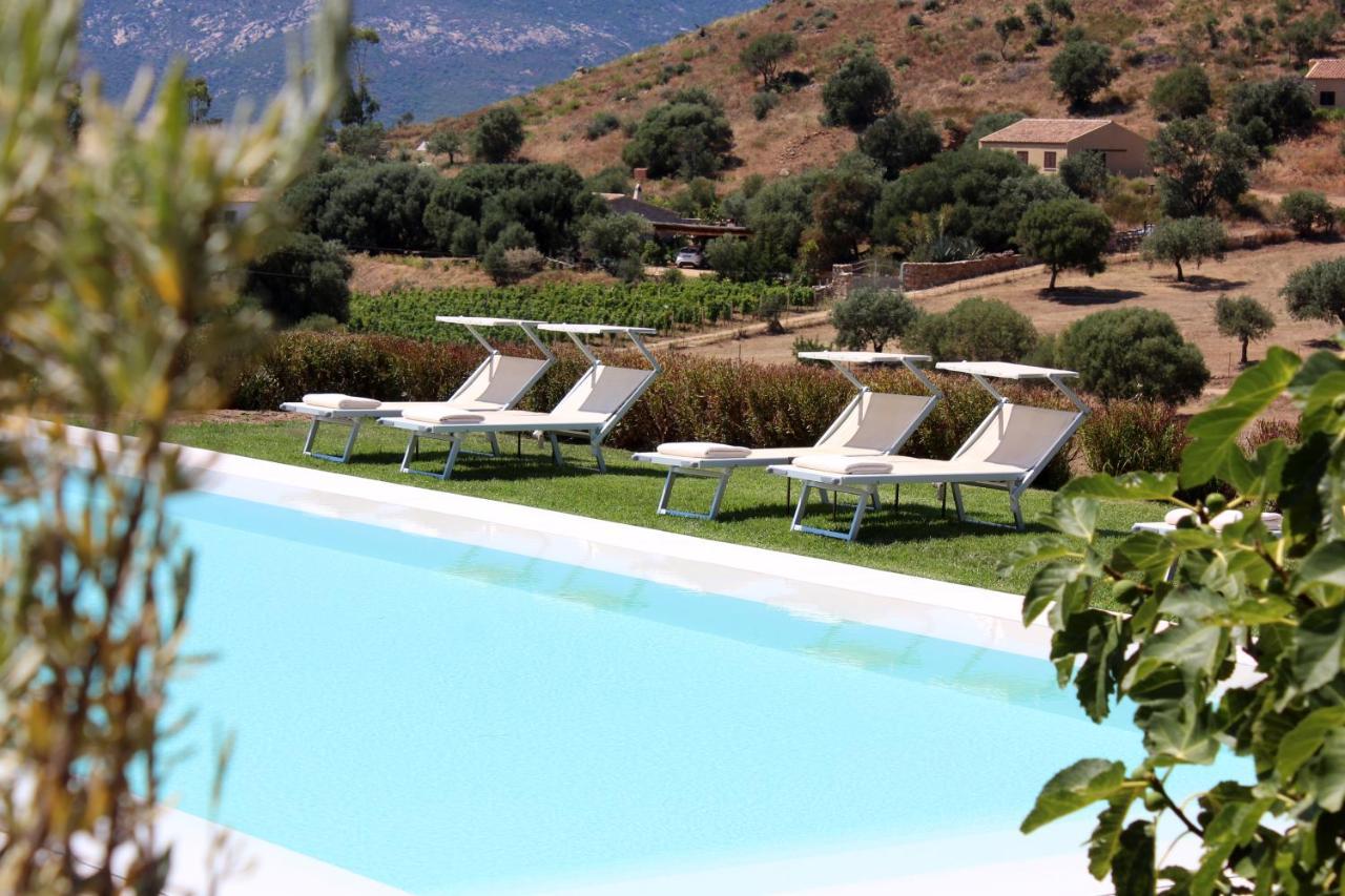 Albero Capovolto Bed & Breakfast Golfo Aranci Bagian luar foto