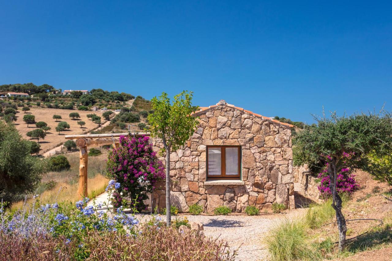 Albero Capovolto Bed & Breakfast Golfo Aranci Bagian luar foto
