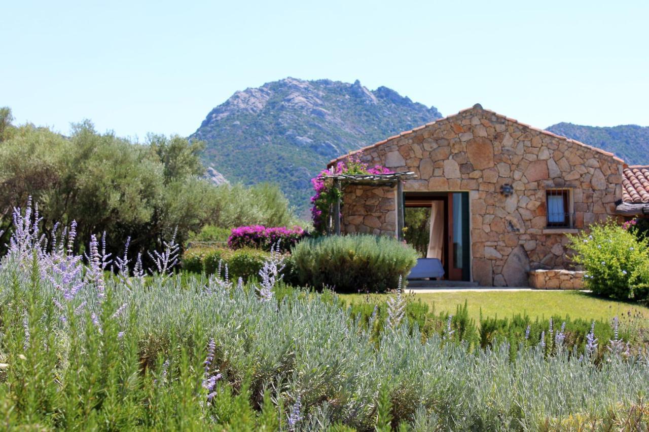 Albero Capovolto Bed & Breakfast Golfo Aranci Bagian luar foto